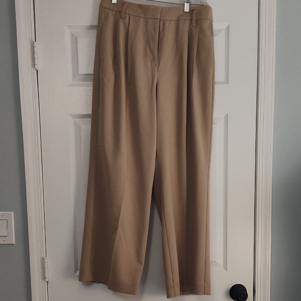 Ann Taylor Women's Tan Trousers